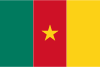 Guarda TV di Camerun in Diretta