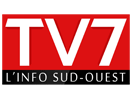 Guarda TV 7 in Diretta