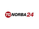 Guarda TG Norba 24 in Diretta