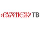 Guarda Radonezh TV in Diretta