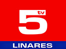 Guarda TV 5 Linares in Diretta