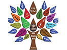 Guarda ABN Sat in Diretta