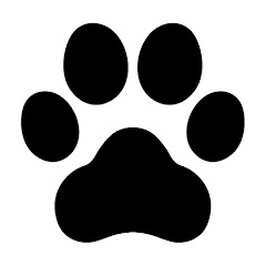 Explore.org Dog Live Cams