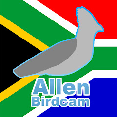 Pretoria Garden Africa Wildlife Live Cam