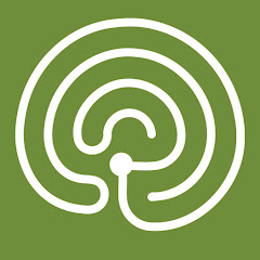 Brooks Falls Brown Bear Live Camera
