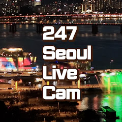 Guarda Seoul Han River Olympic Expressway Fountain Live in Diretta